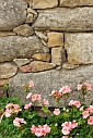 Rock Landscaping - Planning Helps